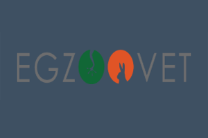 egzoovet