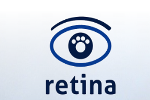 retina1