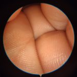 Adapter do smartfonów (powystawowy) - obrazek 4